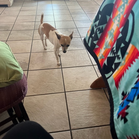 Pink leggings black xs - Picture 2 of 6